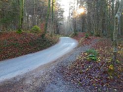 Ostrampe bei Spreitenbach