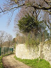 Vestiges des fortifications.