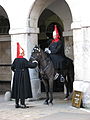 File:Blues and Royals at Horse Guards MOD 45162431.jpg - Wikimedia Commons