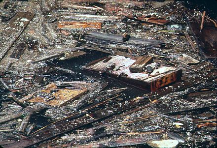 Debris floating on the river near the World Trade Center, 1973