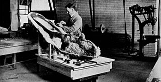 <span class="mw-page-title-main">George F. Sternberg</span> American paleontologist