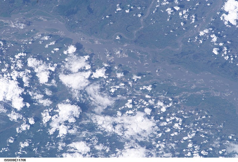 File:ISS009-E-11706 - View of India.jpg