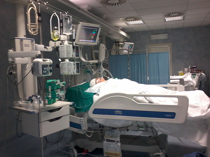 File:Icu.jpg