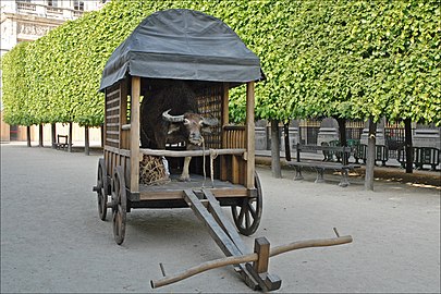 Immigrant sans papier (2006), installation temporaire dans le jardin du Palais-Royal (Paris).