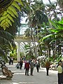 Interior architecture of Laeken Royal Greenhouses Brussels, Belgium - en 2008 (3)