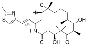 Thumbnail for Diverted total synthesis