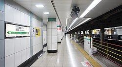 Platform Narita Line