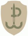 Oznaka rozpoznawcza na mundur polowy wersja pustynna