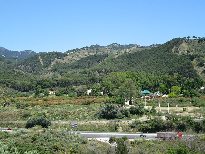 File:Jardín Botánico La Concepción41.jpg