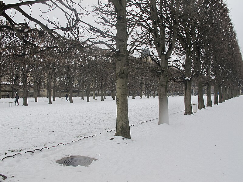 File:Jardin du Luxembourg neige 25.JPG