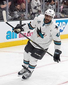 Joel Ward (ice hockey player)