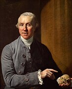 John Hunter with skull attributed to Zoffany.jpg