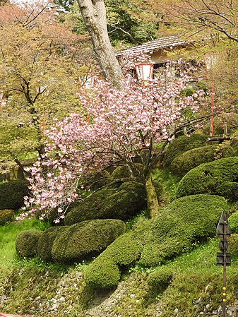 English: Kanazawa Castle Park