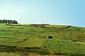 Vercovicium: Housesteads Roman Fort