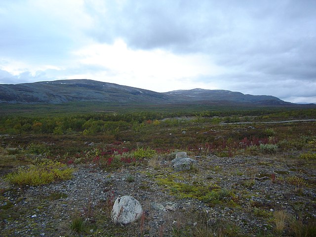 In the northern area of the municipality, the vegetation is very sparse.