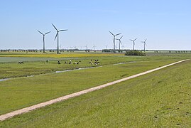 Wind farm in Krummhörn, Germany.