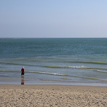 La mer est ton miroir ; tu contemples ton âme