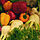 Légumes du marché.jpg