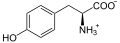 Deutsch: Struktur von L-Tyrosin unter physiologischen Bedingungen English: Structure of L-tyrosine under physiological conditions