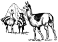 Image:LLama (PSF).png