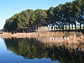 Vignette pour Lac de Sidi Mohamed Benali