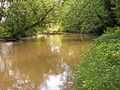 Lake Fork Mohican River in Ashland County