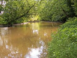 Die Lake Fork des Mohican River