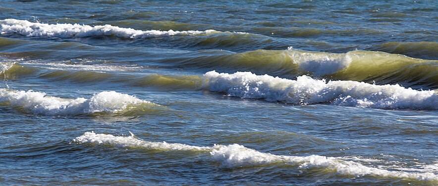 Lake Michigan Waves