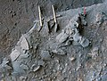 Burial 5. Excavation at phase 2.