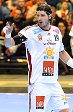 Vignette pour László Nagy (handball)