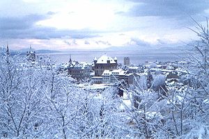 Lausanne: Geographie, Geschichte, Bevölkerung