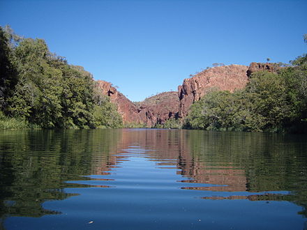 Lawn Hill Gorge in Boodjamulla National Park