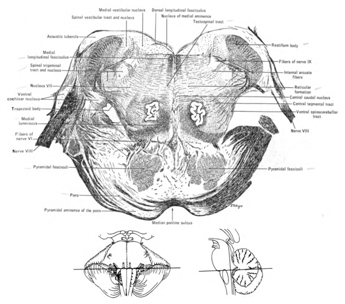 File:Lawrence 1960 25.6 messy.png