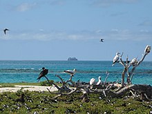 A view of from Tern Island and in the distance, La Perouse Pinnacle Line5394 - Flickr - NOAA Photo Library.jpg