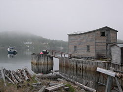 Ein Dock in Little Bay Islands