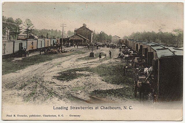 Farmers loading strawberries onto rail cars in Chadbourn c. 1907