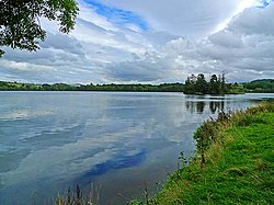 Loch of Clunie - geograph.org.uk - 1476700.jpg