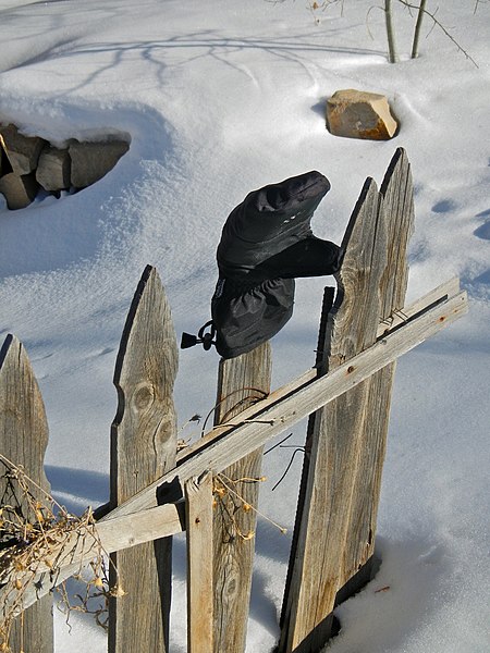 File:Lost & Found on the Fence (12026177064).jpg