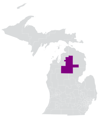 <span class="mw-page-title-main">Michigan's 105th House of Representatives district</span> American legislative district
