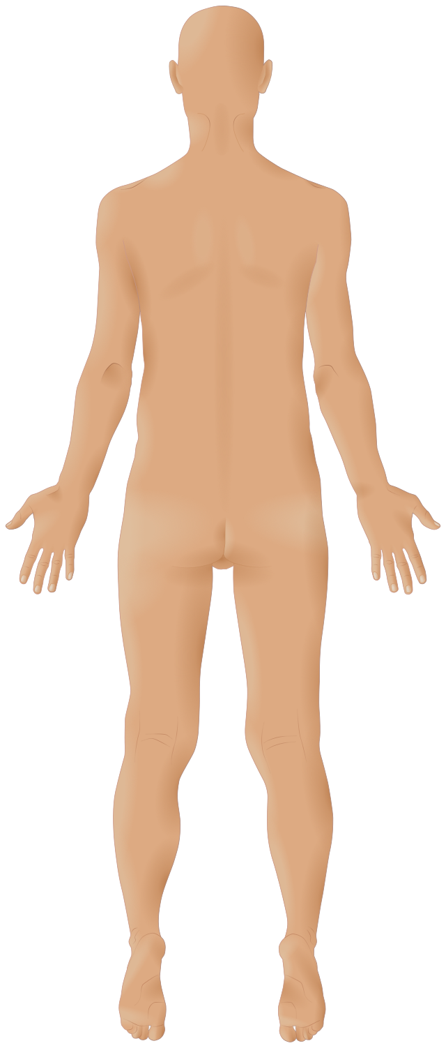 255,264 Man Body Back Images, Stock Photos, 3D objects, & Vectors