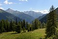 * Nomination Alpine pasture Jamnigalm in the Tauern Valley near Mallnitz, High Tauern National Park, Carinthia, Austria --Uoaei1 04:52, 1 March 2017 (UTC) * Promotion Good quality. -- Johann Jaritz 04:57, 1 March 2017 (UTC)