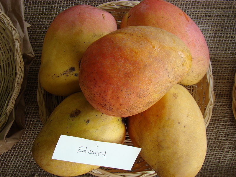 File:Mango Edward Asit fs8.jpg