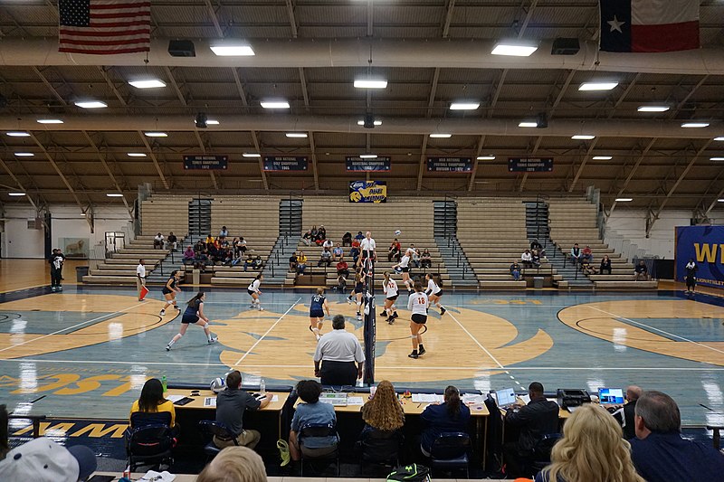 File:Midwestern State vs. Texas A&M–Commerce volleyball 2015 16.jpg