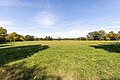 * Nomination Meadow in the Mönchbruch nature reserve in late summer --MB-one 11:30, 15 November 2023 (UTC) * Promotion  Support Good quality. --C messier 19:50, 23 November 2023 (UTC)