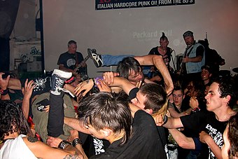 A crowd of fans at a punk show