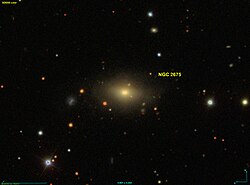 NGC 2675 SDSS.jpg