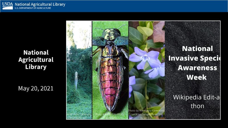 File:NISIC Wiki editing slides May2021.pdf