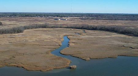 Nansemond national wildlife refuge