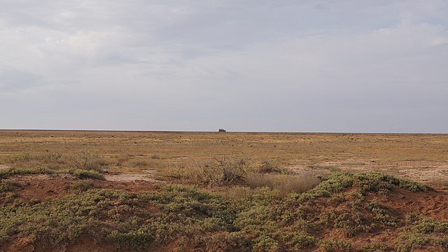 Semi-desert in Narimanovsky District, Astrakhan Oblast