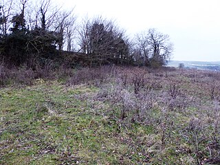 <span class="mw-page-title-main">Nashenden Down</span>